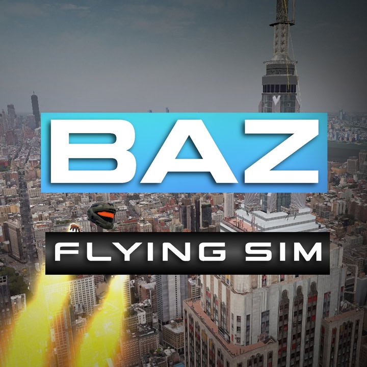 Baz Flying Sim